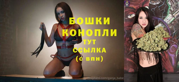 МДПВ Ельня