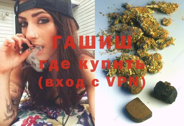 МДПВ Ельня