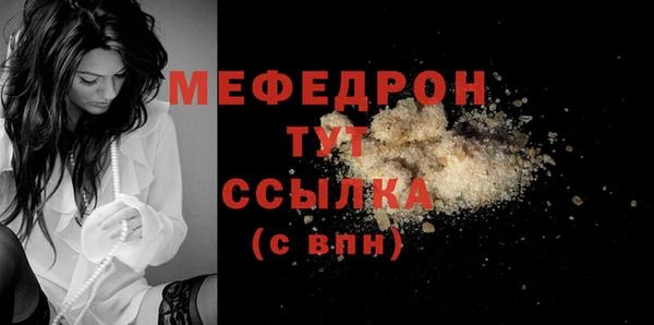 МДПВ Ельня