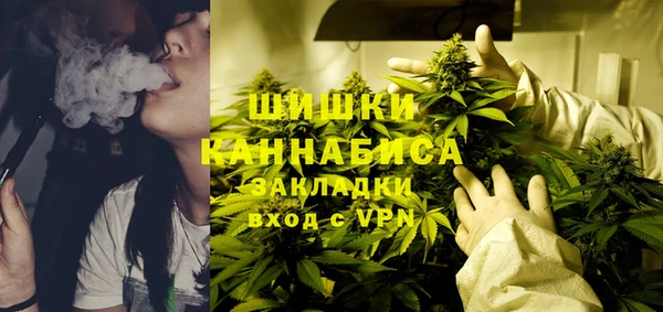 МДПВ Ельня