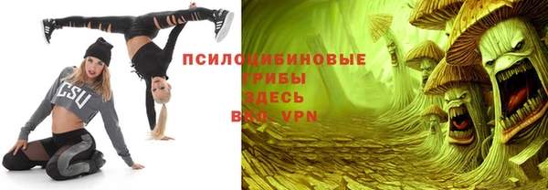 МДМА Заводоуковск