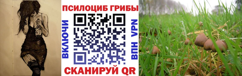 Галлюциногенные грибы Cubensis  Купить закладки  Истра 